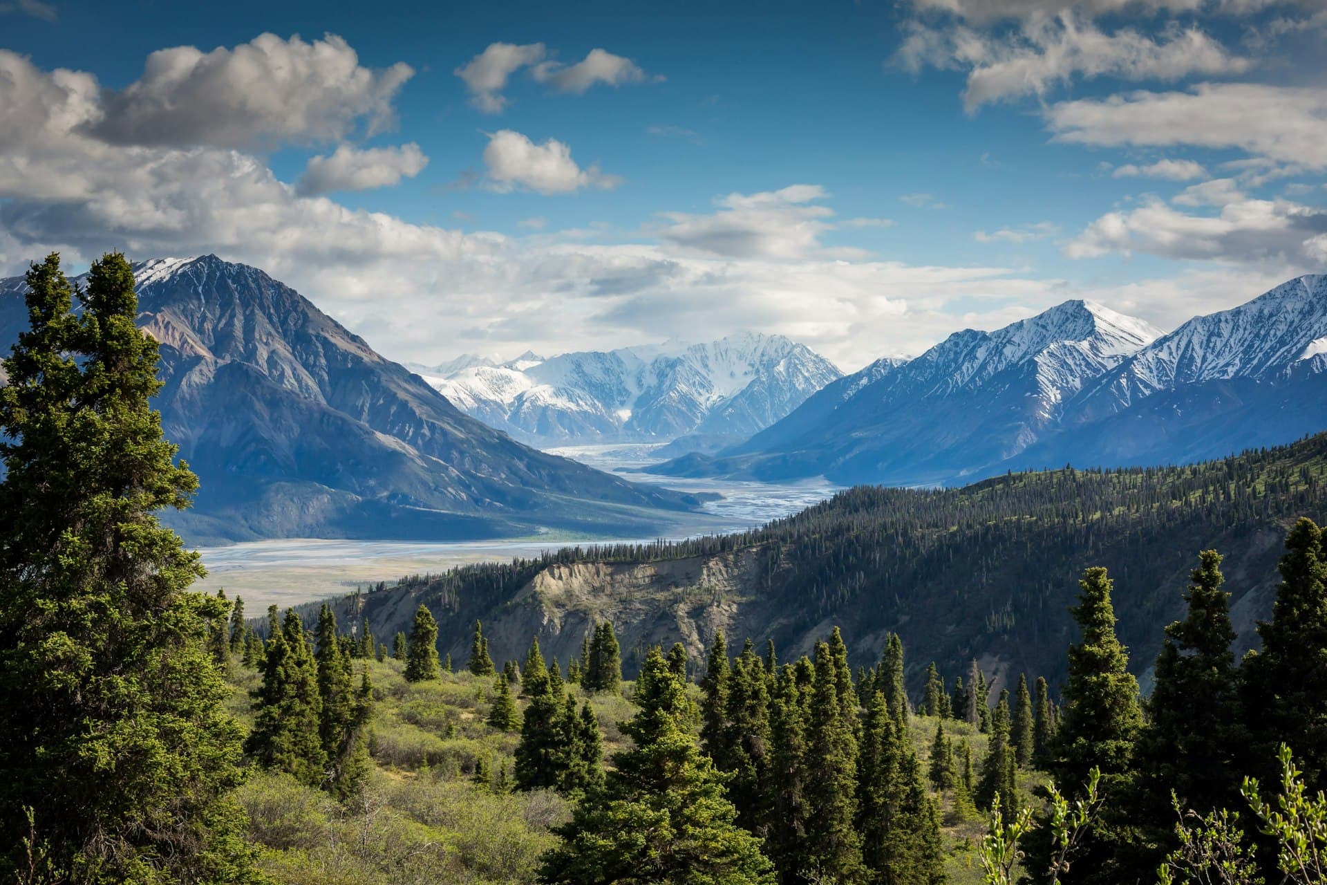Green Himachal valley with conifer forest below snow ranges