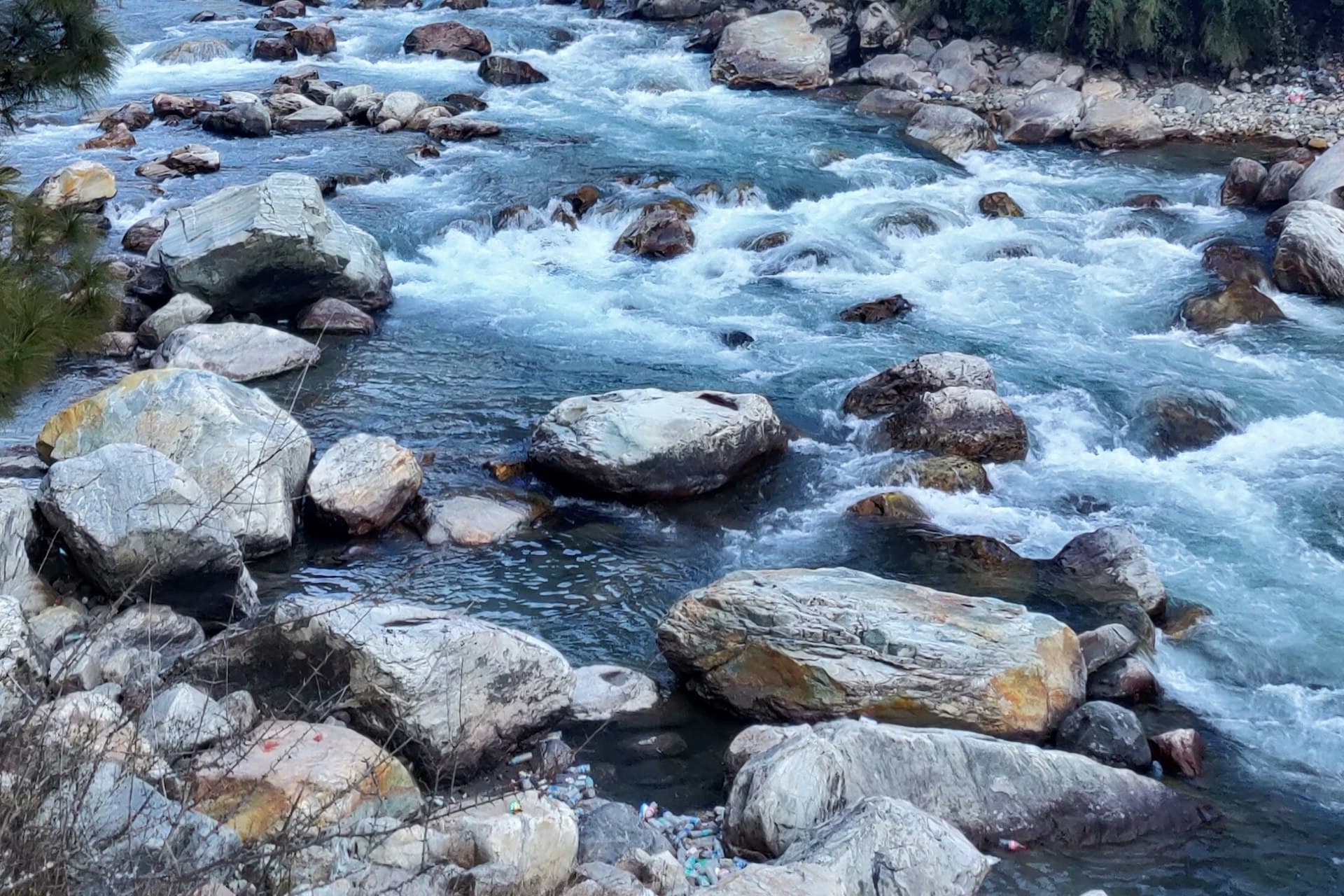 Fast blue river running over boulders through a Himachal pine forest